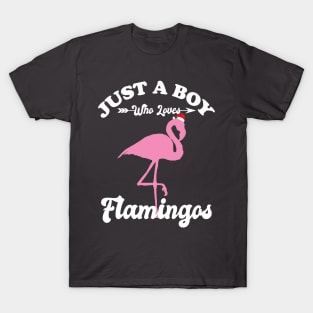 Just a Boy Who Loves Flamingos T-Shirt